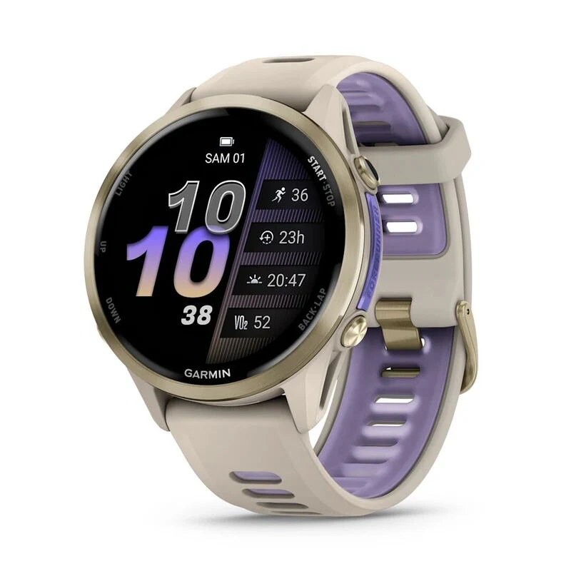 GARMIN Forerunner 965 GPS EMEA french grey/indigo