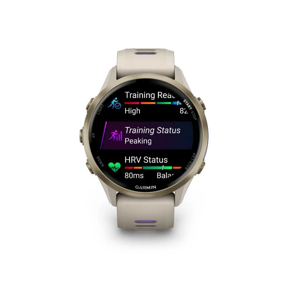 GARMIN Forerunner 965 GPS EMEA french grey/indigo - Image 2