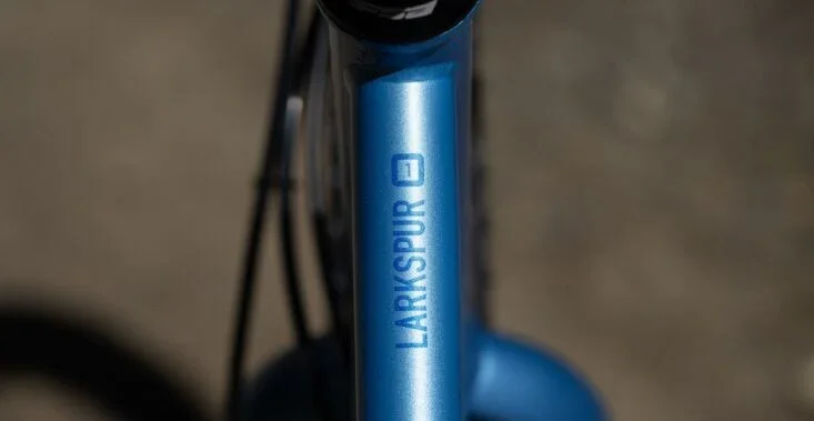 Marin Larkspur 1 - 2026 - Image 6