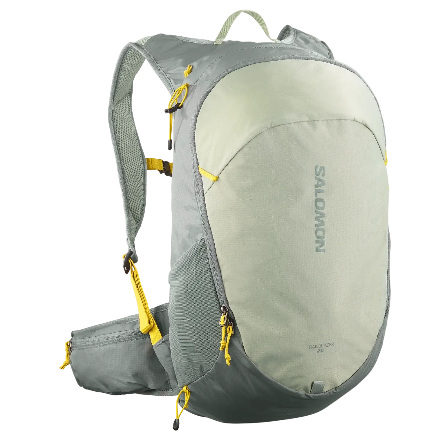 SALOMON Trailblazer 20 sedona sage/seagrass/cress grey backpack