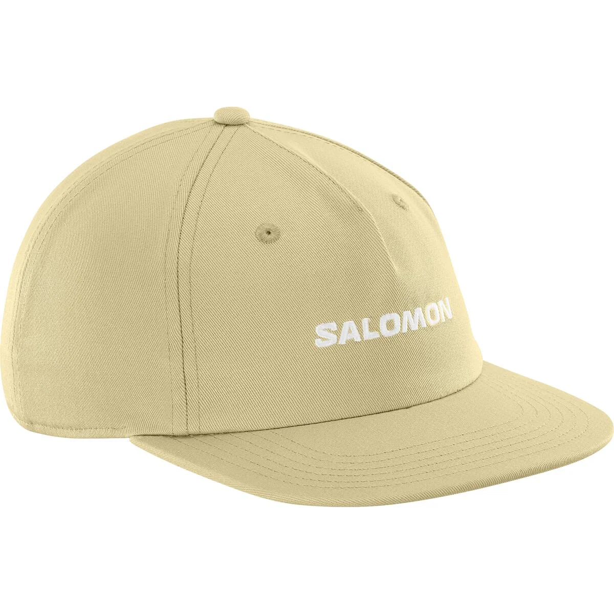 SALOMON Logo Flat grey green cap