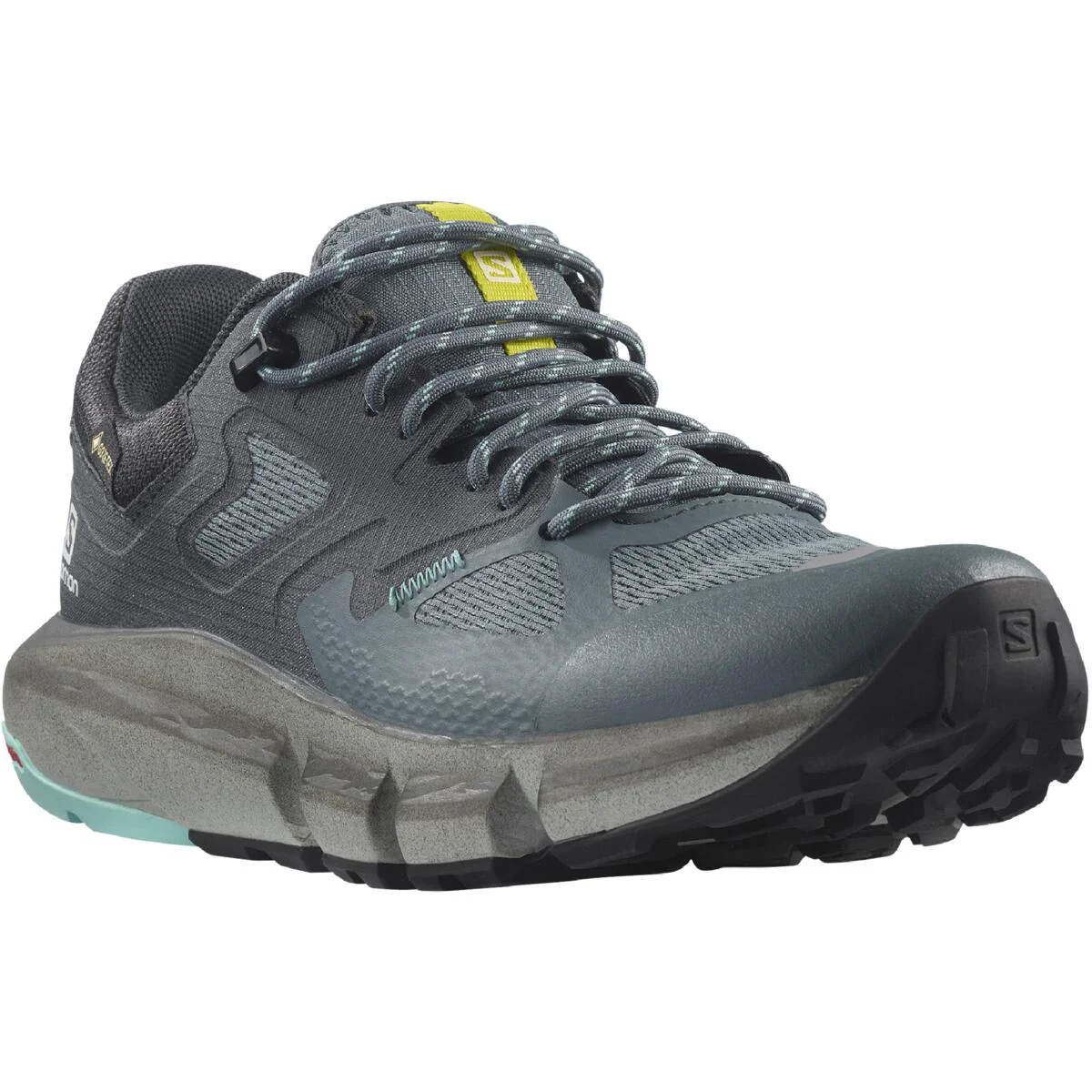 SALOMON Predict Hike GTX W grey/blue shoes