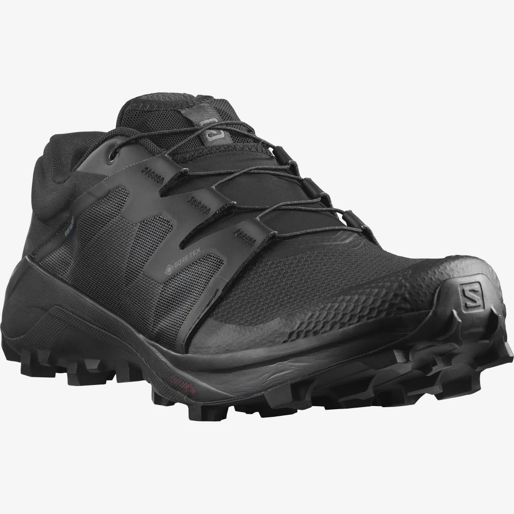 SALOMON Wildcross GTX black shoes