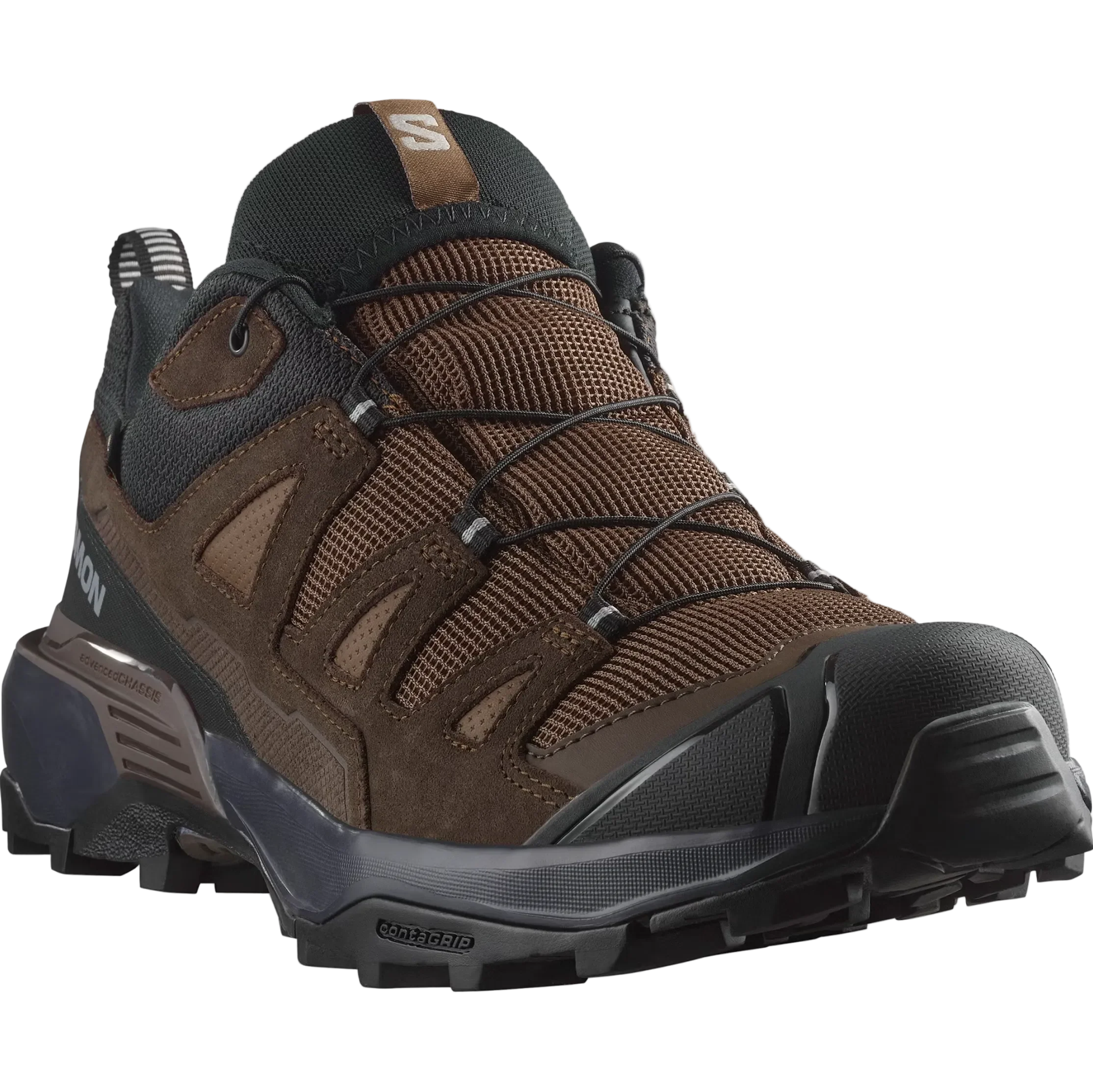 SALOMON X Ultra 360 LTR GTX dark earth/delicioso/sharkskin shoes
